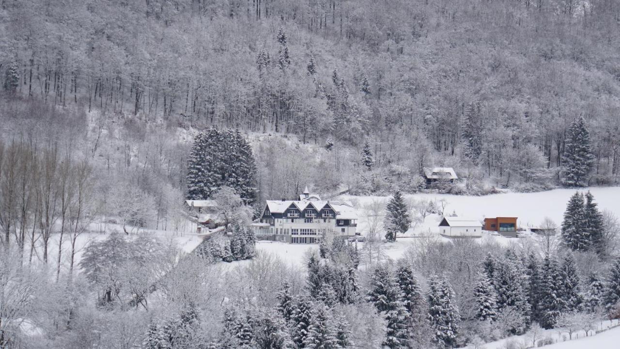 Waldhotel Schinkenwirt Olsberg Exterior photo